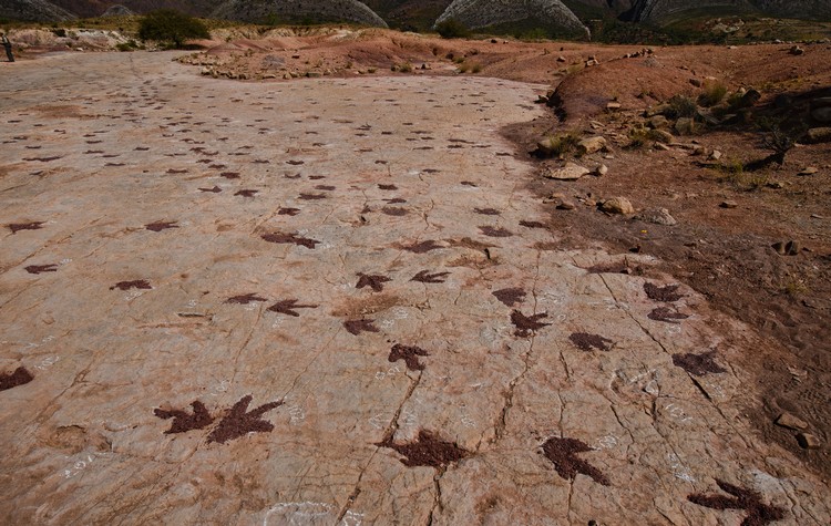 Where Dinosaurs Roamed: Bolivia’s ToroToro National Park