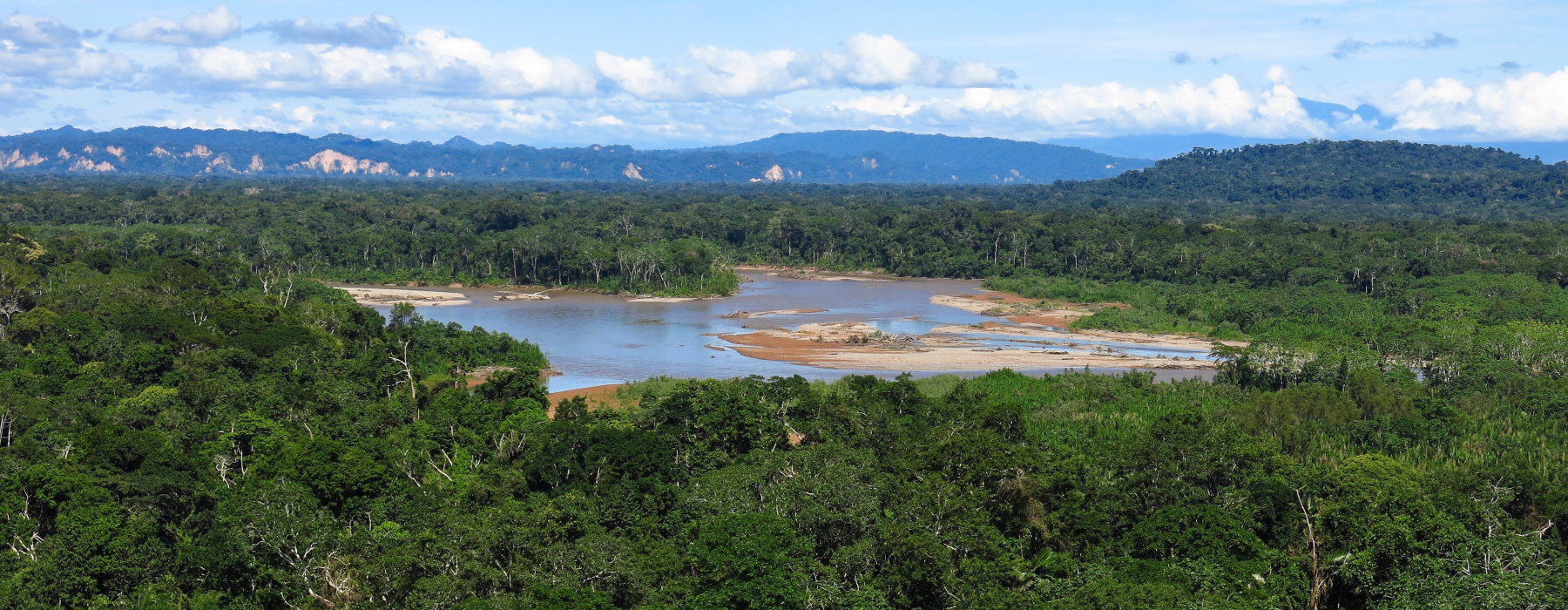 Bolivia’s Hidden Amazon: Discovering the Untamed Madidi National Park